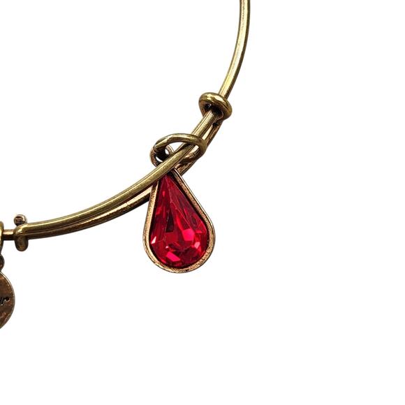 SET OF 2 ALEX and ANI RED BANGLE BRACELET RUBY GARNET JULY JANUARY BIRTHSTONE - Picture 3 of 5